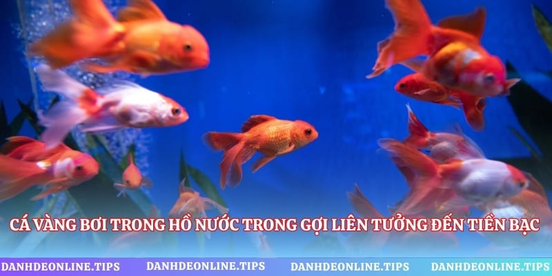 Cá vàng bơi trong hồ nước trong gợi liên tưởng đến tiền bạc và sự sung túc