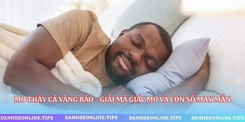 Mơ Thấy Cá Vàng Báo - Giải Mã Giấc Mơ Và Con Số May Mắn