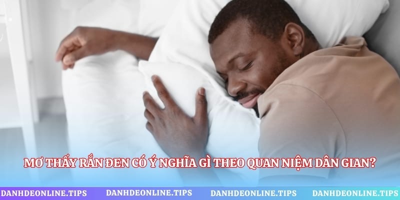 Mơ Thấy Rắn Đen Có Ý Nghĩa Gì Theo Quan Niệm Dân Gian?