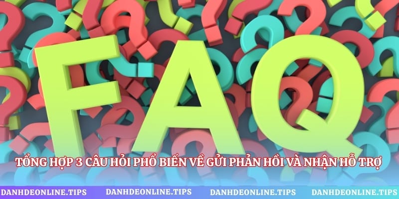 Tổng hợp 3 câu hỏi phổ biến về gửi phản hồi và nhận hỗ trợ từ chuyên trang